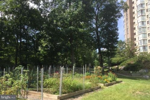 19385 Cypress Ridge Ter, Leesburg VA  20176-5162 exterior