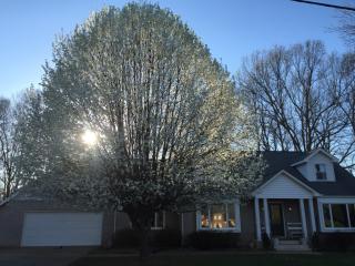 204 Jonas Dr, Lincolnton, NC 28092-3251