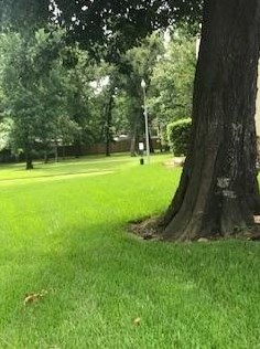 12223 Glenview Dr, Montgomery TX 77356-7909 exterior