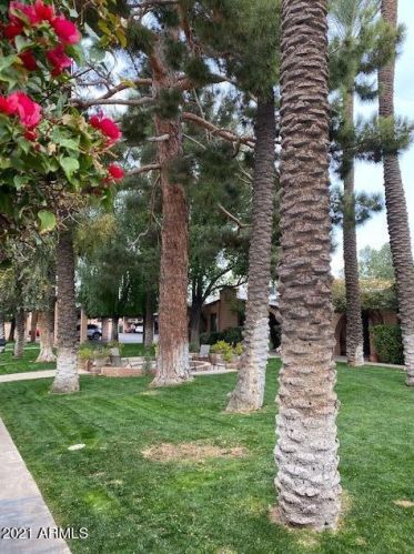 3022 32nd St, Phoenix AZ  85018-6867 exterior