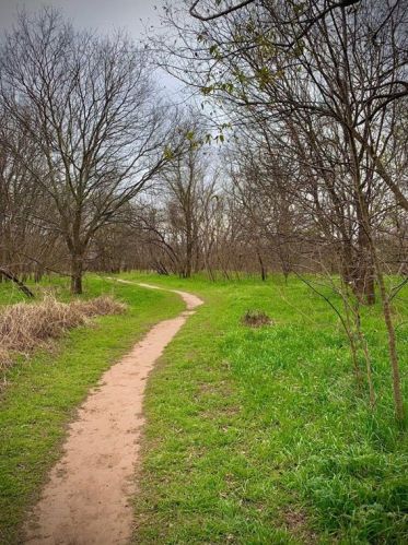 7000 Bay City Bnd, Austin TX 78725-2938 exterior