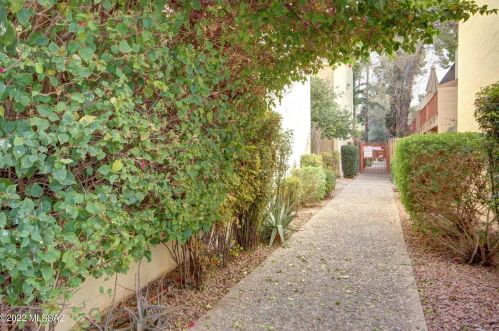 1810 Blacklidge Dr, Tucson AZ  85719-2772 exterior