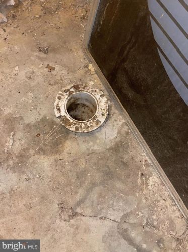 222 Albanus St, Philadelphia PA 19120-3506 exterior