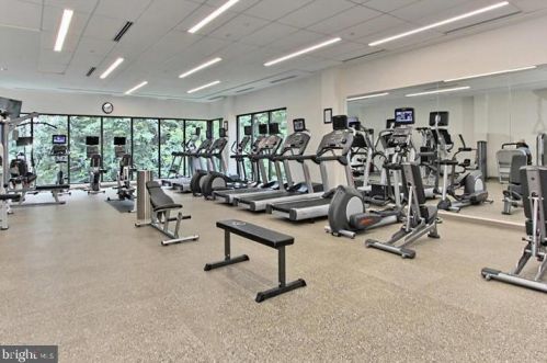 5904 Mount Eagle Dr, Alexandria VA 22303-2534 exterior