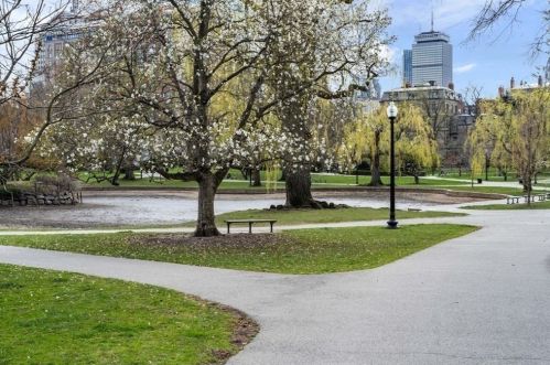 300 Boylston St, Boston MA  exterior