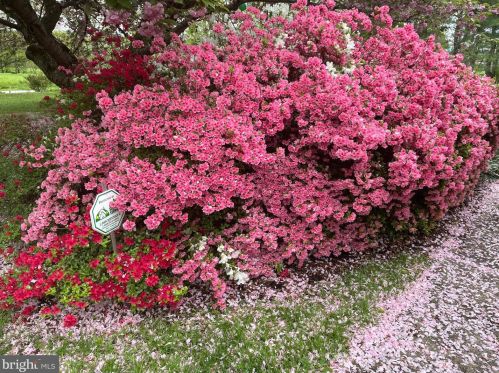 233 Old State Rd, Limerick PA 19468-3116 exterior