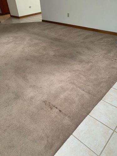 158 Cyn Rim Dr, Folsom CA 95630-2040 exterior