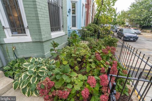 1357 Emerald St, Washington DC 20002-5431 exterior