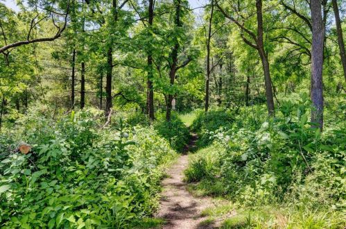 1128 Morraine View Dr, Madison WI  53719-3068 exterior