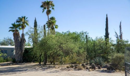 5651 Potvin Ln, Tucson, AZ 85742-9582