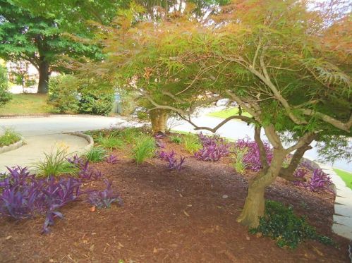 3679 Montrose Pond Ct, Duluth GA 30096-6636 exterior