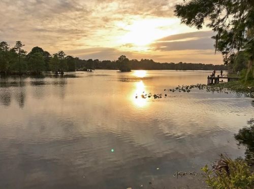 527 Broxburn Ave, Tampa FL  33617-7823 exterior