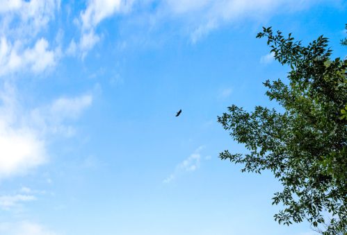 7321 County Road Ls, Manitowoc WI 54220-8881 exterior