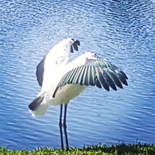 3310 Park Dr, Fort Pierce FL 34982-8424 exterior