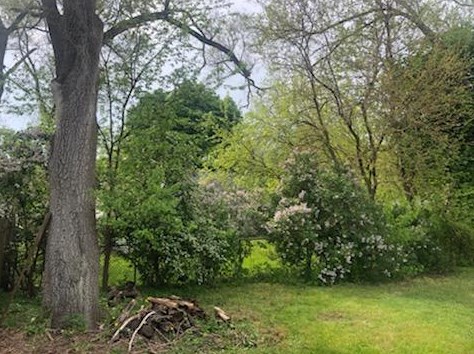 3047 Highgate Ave, Wyoming MI 49509-2901 exterior