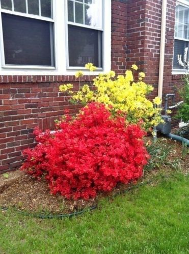 30 Pleasantview Ave, Springfield MA 01106-1019 exterior