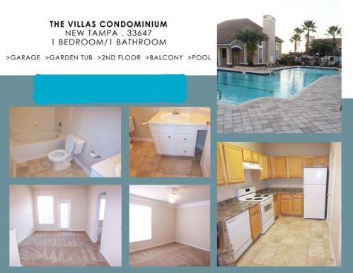 10528 Villa View Cir, Tampa, FL 33647-2599