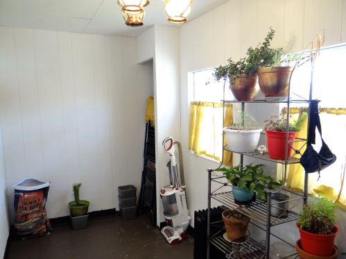 1636 59 Ct, Chicago IL 60804-1056 exterior