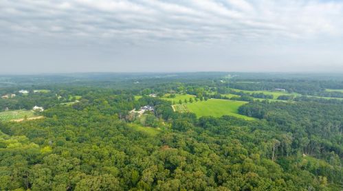 572 Spring Cave Rd, Spring Bluff MO exterior