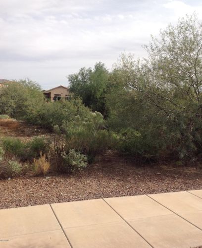 40967 Courage Trl, Phoenix AZ  85086-2537 exterior