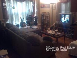 391 Flower City Park, Rochester NY  14615-3638 exterior