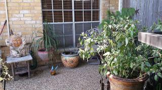 10359 Briar Forest Dr, Houston TX  77042-2451 exterior