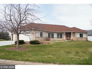 1167 Crestview Ct, Saint Paul MN  55119-6018 exterior