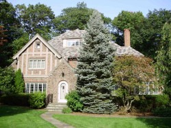 114 Valentine St, Newton, MA 02465-3028