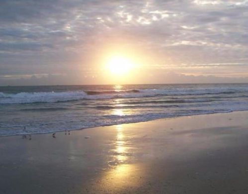 355 Ocean Dr, Fort Pierce FL  34949-3251 exterior