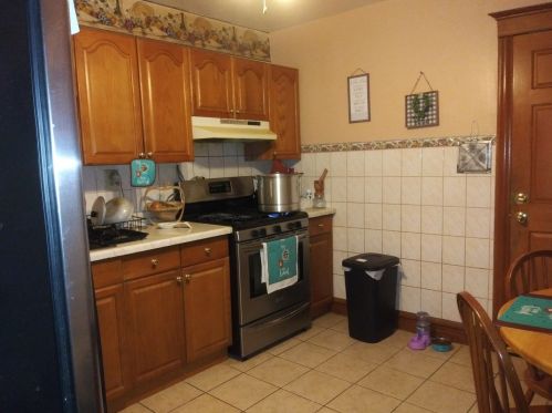 1520 Hamlin Ave, Chicago IL 60651-2146 exterior