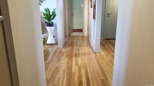 135 Iceland Dr, Huntington Station NY 11746-4231 exterior