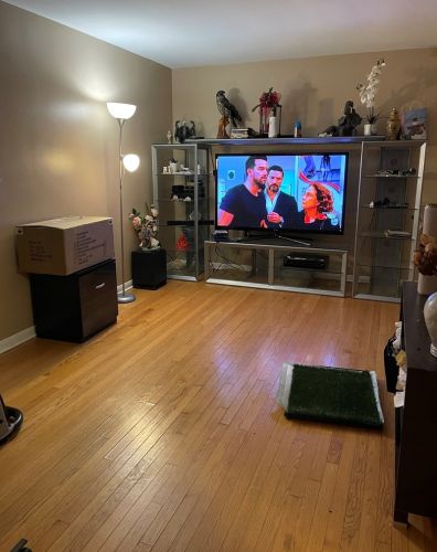 4542 87th St, Chicago, IL 60652-3544