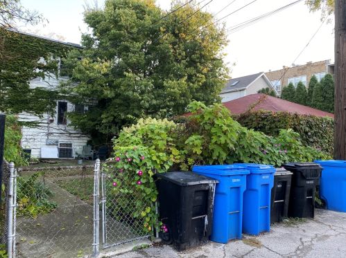 1915 Balmoral Ave, Chicago, IL 60640-1003