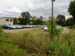 50 Crafts St, Newton, MA 02458-1249