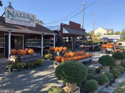 7433 Dunnington Pl, Alexandria VA  22315-5248 exterior