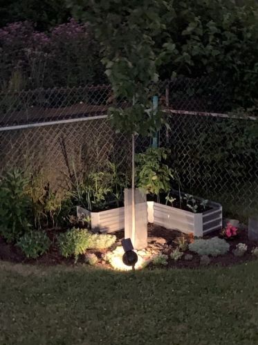 7205 Mcclure Ave, Pittsburgh PA  15218-2307 exterior