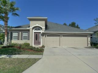 20032 Bluff Oak Blvd, Tampa, FL 33647-2975