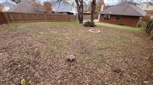 6007 Fox Pt Trl, Dallas TX 75249-2816 exterior