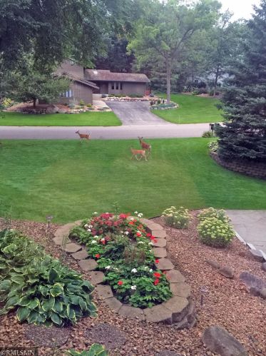 7853 131 St, Saint Paul MN 55124-9703 exterior