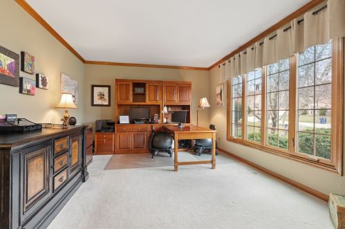 2737 Alyssa Dr, Naperville IL exterior