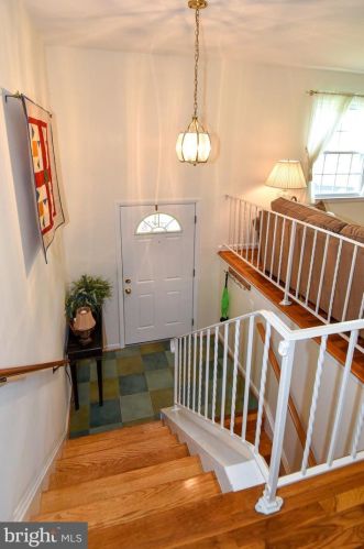 7938 Bayberry Dr, Alexandria, VA 22306-3215