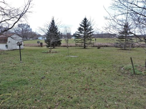 19083 Diane St, Big Rapids MI exterior