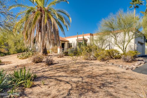 977 Palma De Pina, Tucson AZ 85704-3957 exterior
