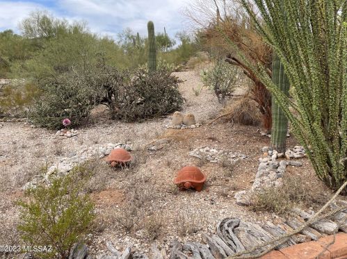 5040 Camino Esplendora, Tucson AZ 85718-4508 exterior