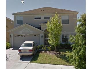 10615 Liberty Bell Dr, Tampa FL  33647-3663 exterior