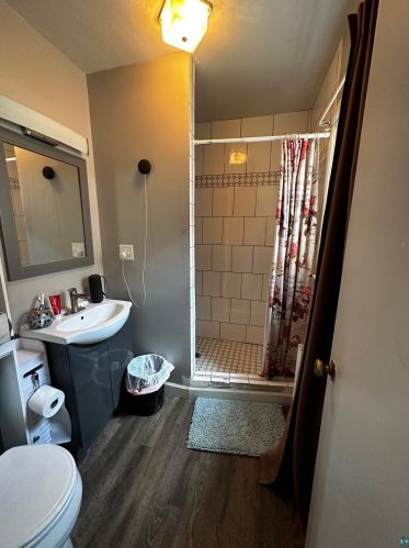 8 Shagawa Rd, Ely MN exterior