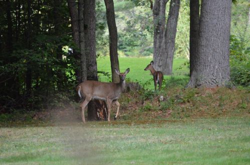 136 Sewalls Fls Rd, Concord NH 03301-4725 exterior