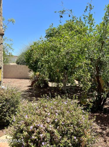 7201 15 Pl, Phoenix AZ 85024-3625 exterior