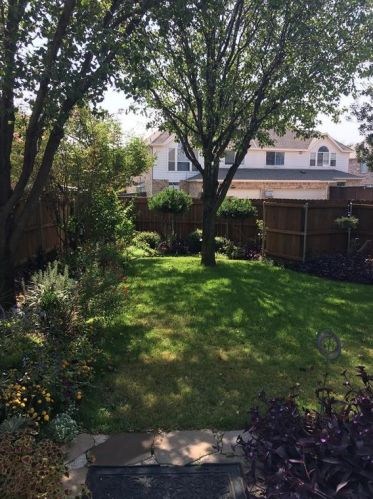 11243 Chaucer Dr, Frisco TX 75035-7786 exterior