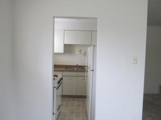 1129 Raritan Dr, Saint Louis MO  63119-1189 exterior